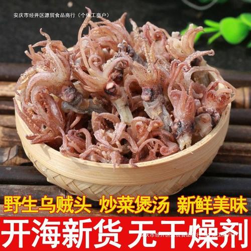 乌贼头厂家,品牌,图片,热帖